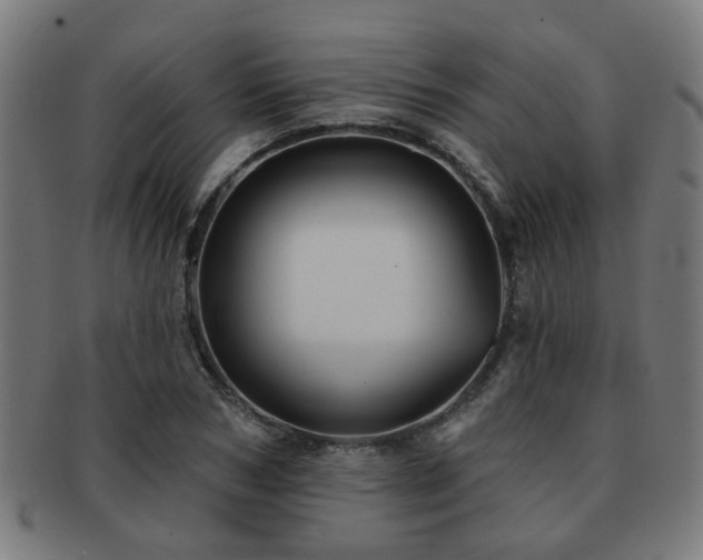 X0000091890978200709051340
