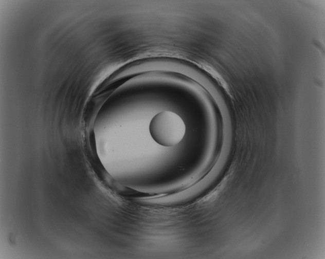 X0000091890981200709051340