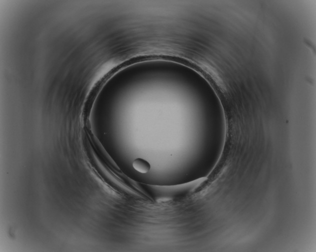 X0000091890982200709051340
