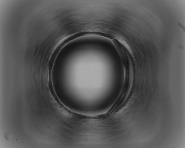 X0000091890984200709051340