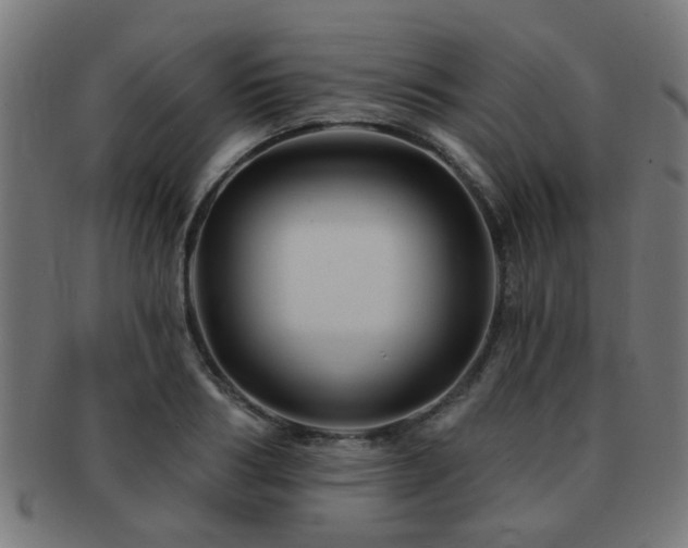 X0000091890986200709051340