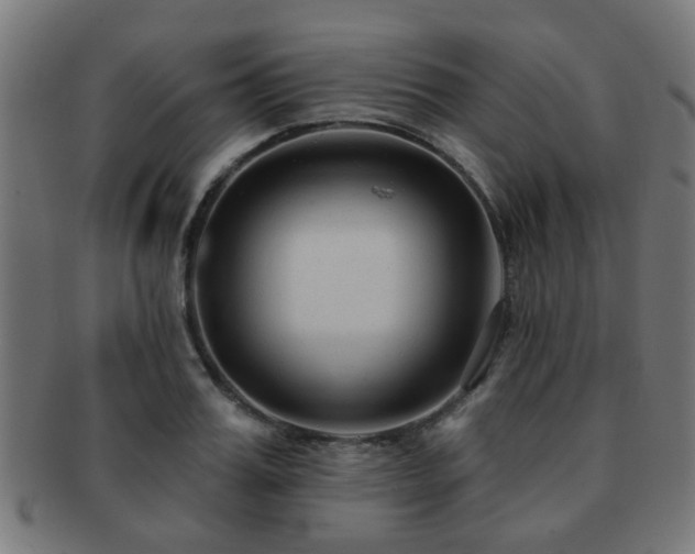 X0000091890987200709051340