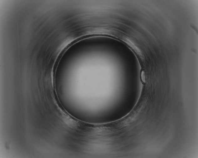 X0000091890988200709051340