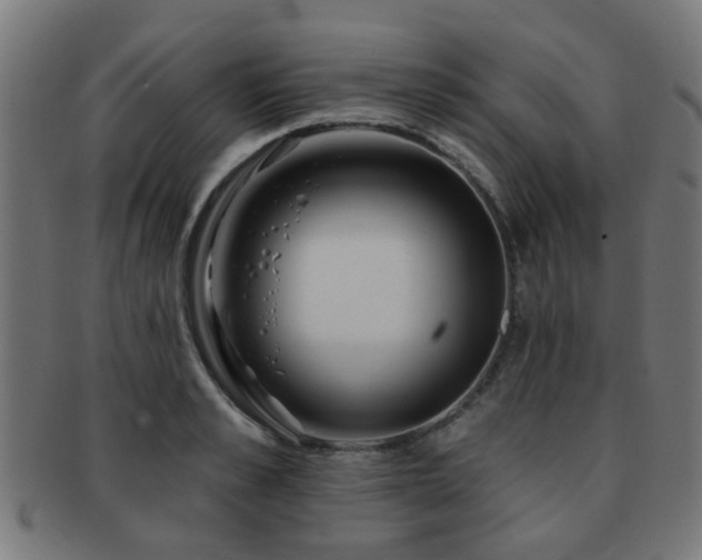 X0000091890989200709051340