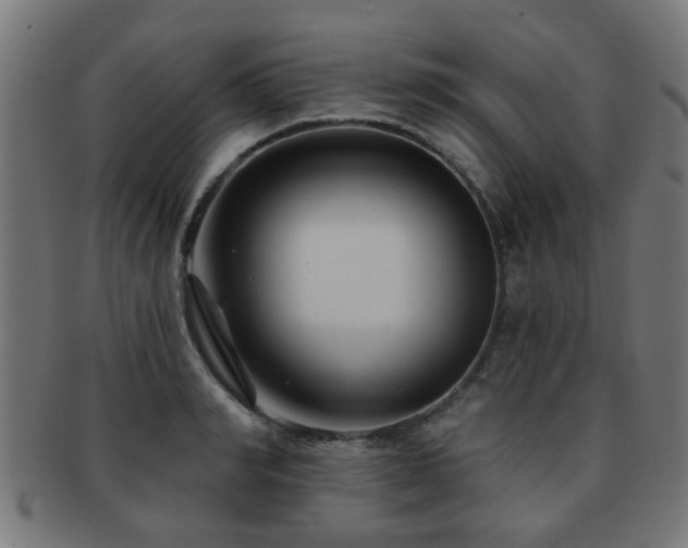 X0000091890990200709051340