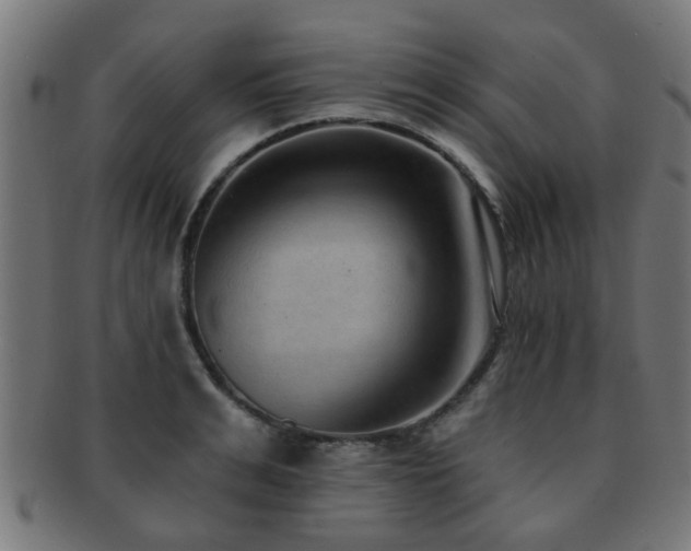 X0000091890991200709051340