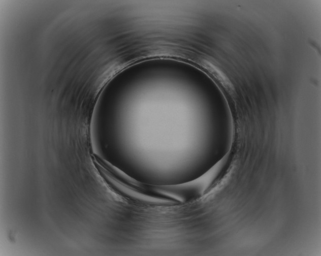 X0000091890993200709051340