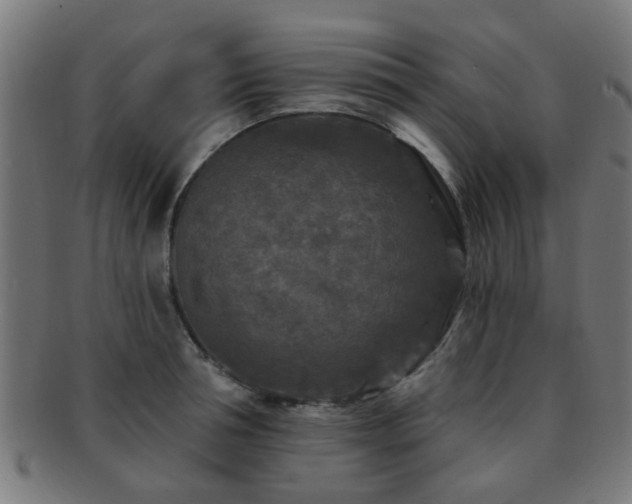X0000091890994200709051340