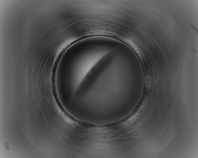 X0000091890995200709051340