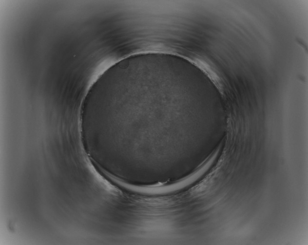 X0000091890998200709051340