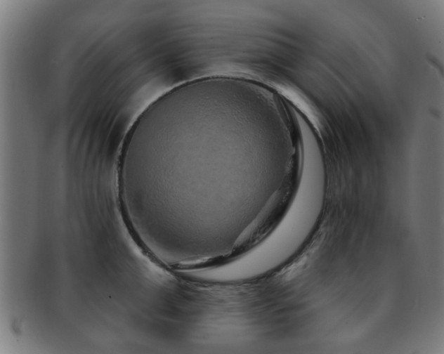 X0000091890999200709051340