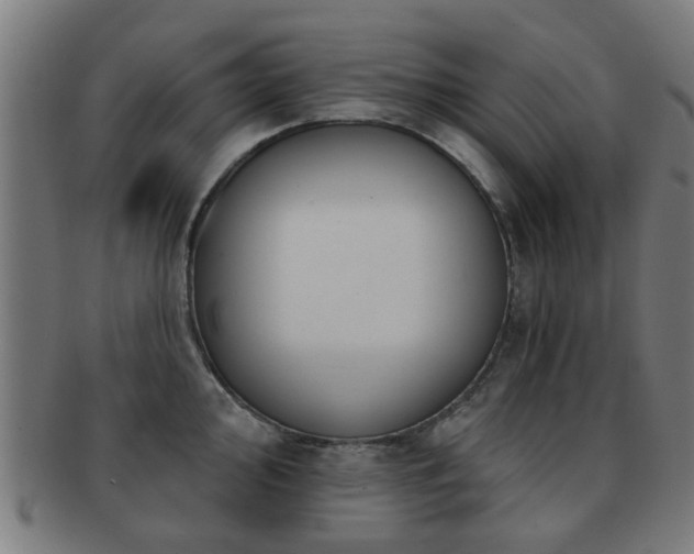 X0000091891000200709051340