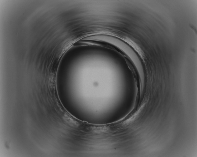X0000091891001200709051340