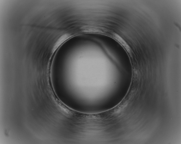 X0000091891002200709051340