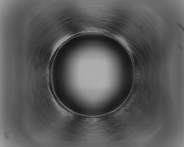 X0000091891003200709051340