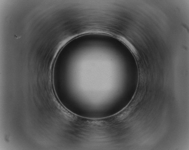 X0000091891004200709051340