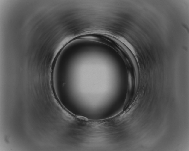 X0000091891005200709051340