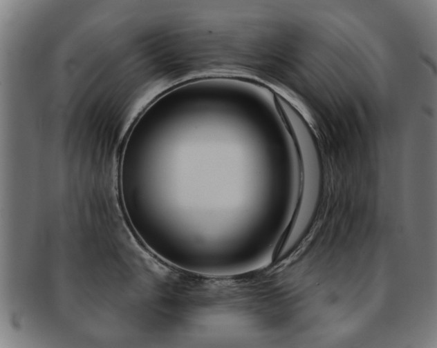 X0000091891006200709051340