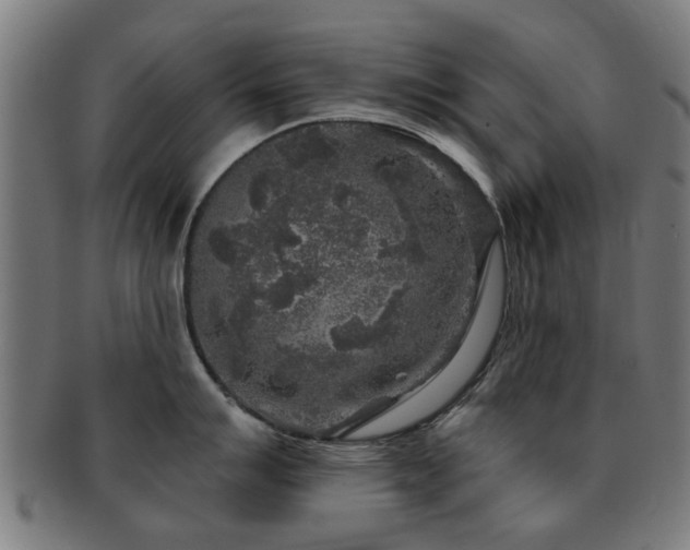 X0000091891007200709051340
