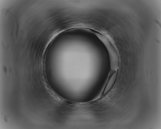 X0000091891008200709051340
