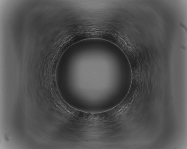 X0000091891009200709051339