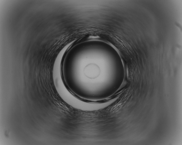 X0000091891010200709051339
