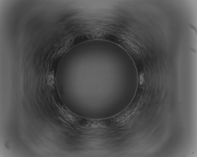 X0000091891011200709051339
