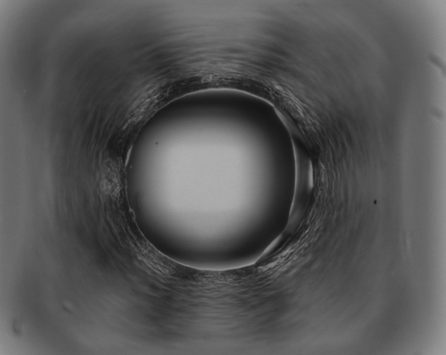 X0000091891012200709051339