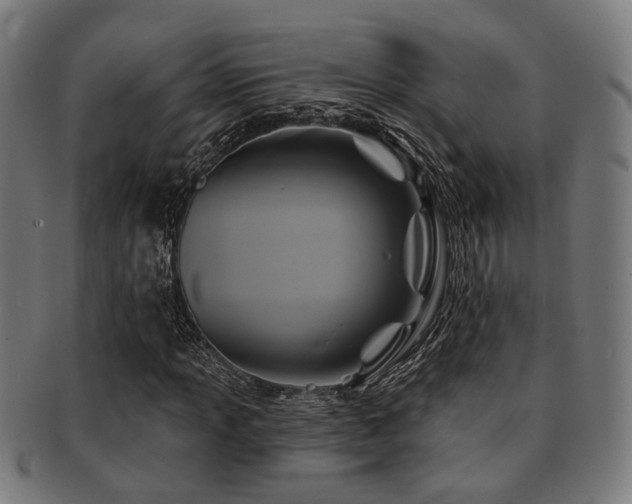 X0000091891013200709051339