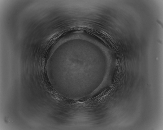 X0000091891014200709051339