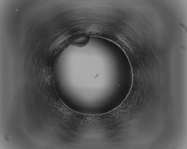 X0000091891015200709051339
