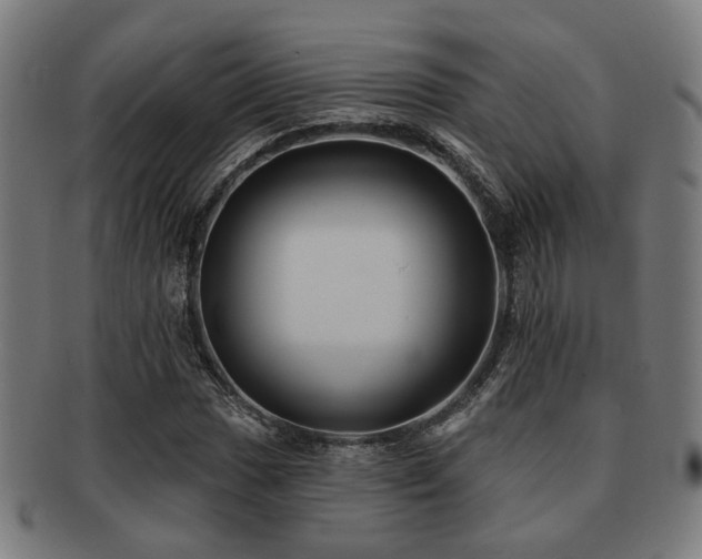 X0000091891017200709051339
