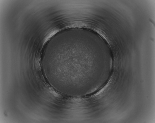 X0000091891018200709051339