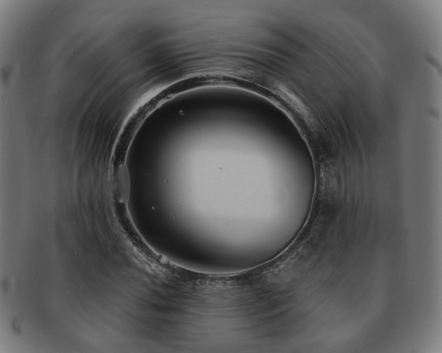 X0000091891020200709051339