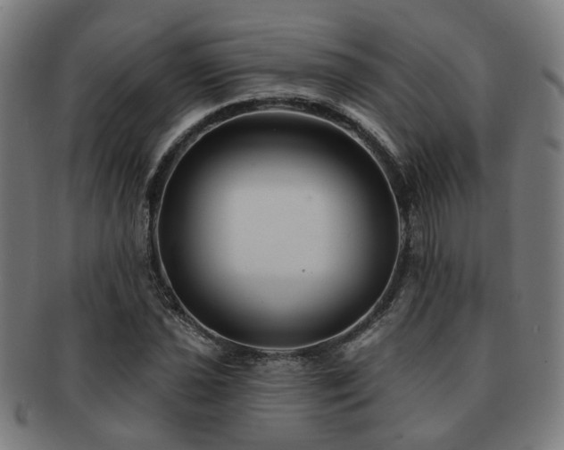 X0000091891021200709051339