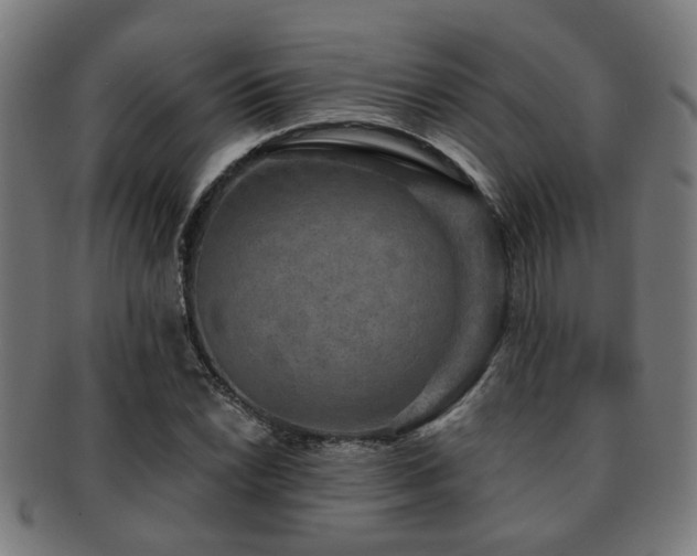 X0000091891022200709051339