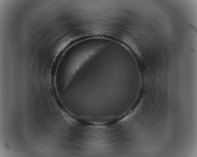 X0000091891023200709051339