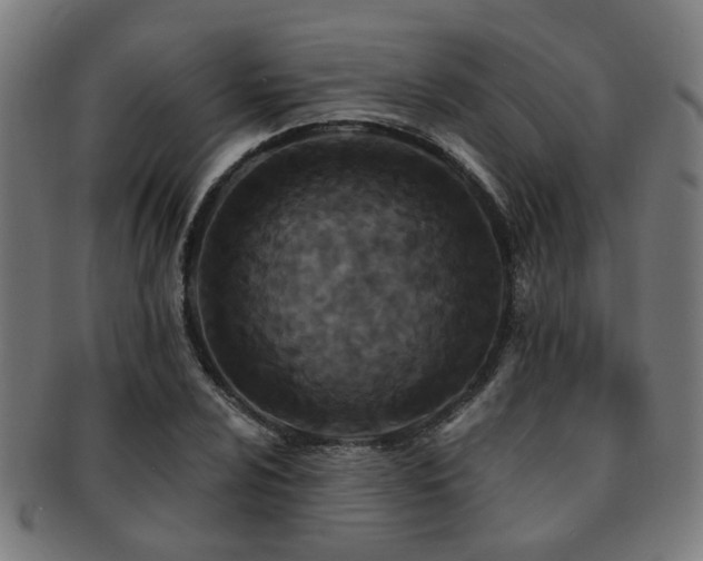 X0000091891024200709051339