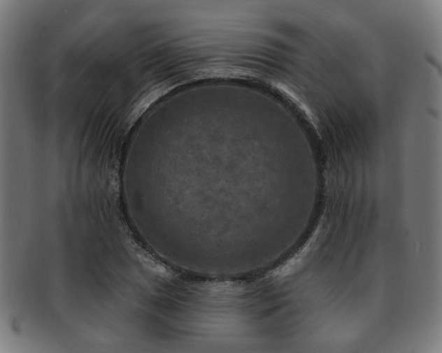 X0000091891025200709051339