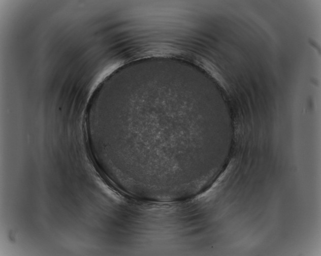 X0000091891026200709051339