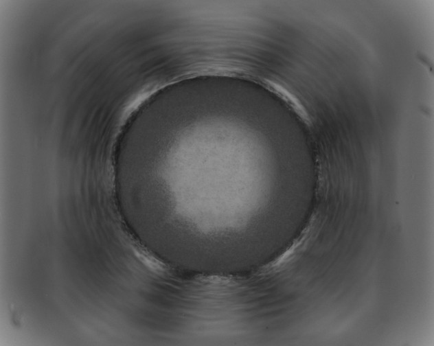 X0000091891027200709051339