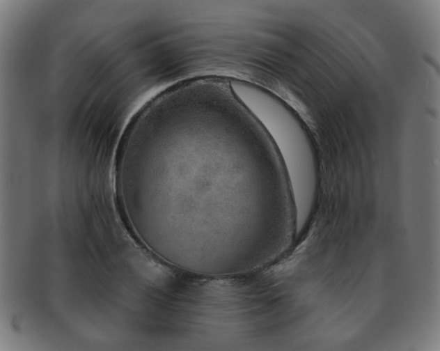 X0000091891028200709051339