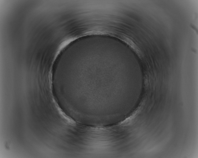 X0000091891030200709051339