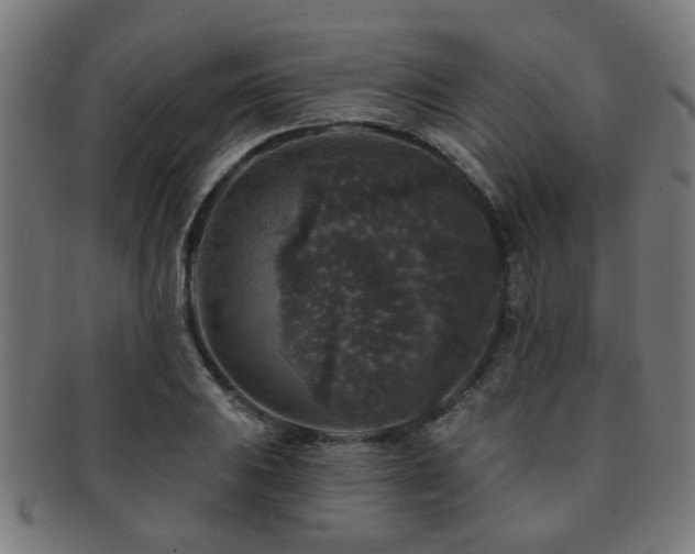 X0000091891031200709051339