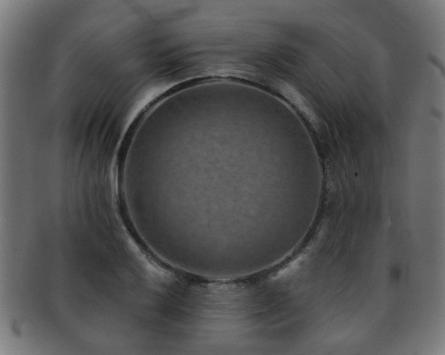 X0000091891032200709051339