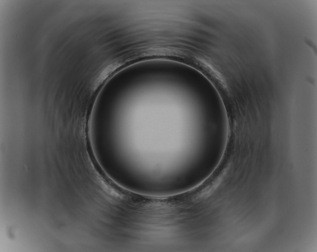 X0000091891033200709051339