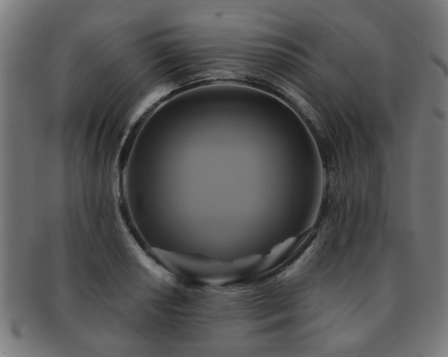 X0000091891034200709051339