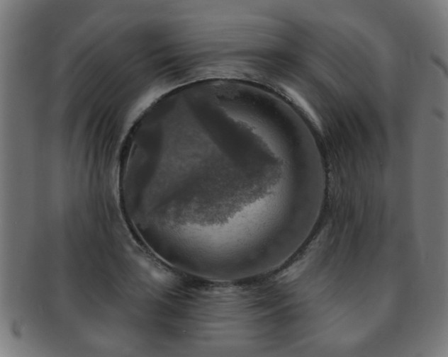 X0000091891035200709051339