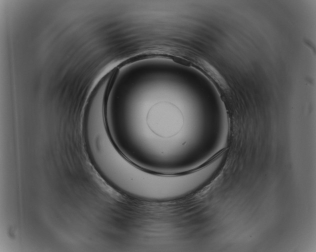 X0000091891036200709051339