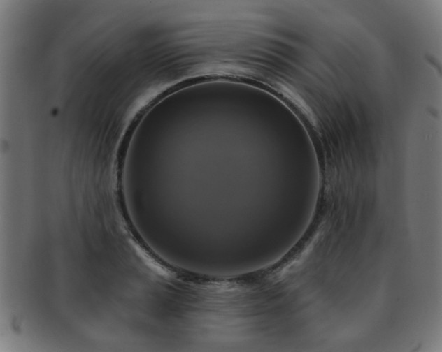 X0000091891037200709051339